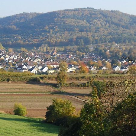 Hildastraße 1 appart.2 Friesenheim  Exteriör bild