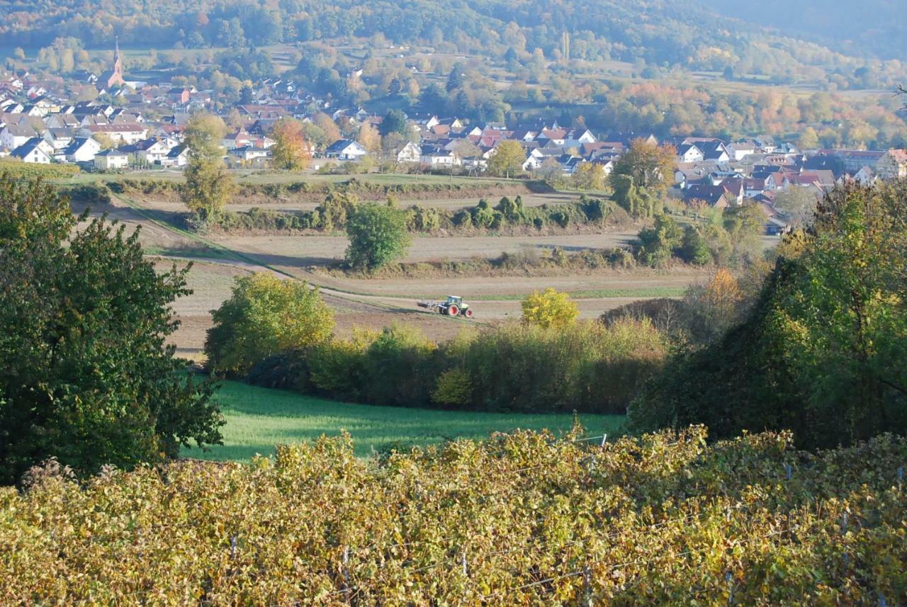 Hildastraße 1 appart.2 Friesenheim  Exteriör bild